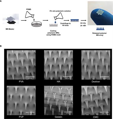 Mapping the Mechanical and Immunological Profiles of Polymeric Microneedles to Enable Vaccine and Immunotherapy Applications